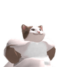 Sui