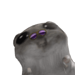 Vegeturbo5