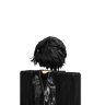 ZCERO