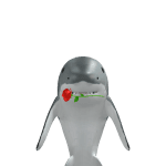 DoDo_Shark