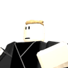 SPIDER_ZAIN