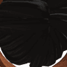 Dakodininity