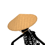 Dev