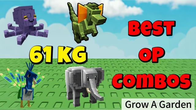 Complete Analysis of 61kg Pet Team Compositions: Optimizing Pet Combos for Rapid Leveling and Massive Huge Pet Production