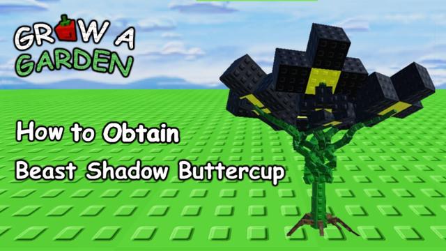 Grow a Garden Beast Shadow Buttercup Guide