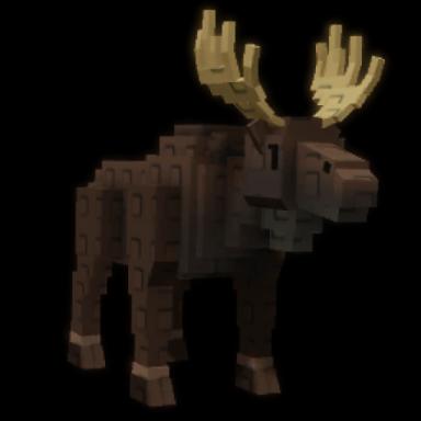 Moose