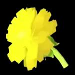 Golden Dandelion