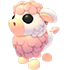 Angus Cow