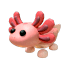 Axolotl