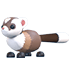 Black-Footed Ferret