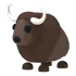 Buffalo