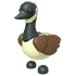 Canadian Goose