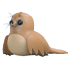 Galapagos Sea Lion
