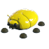 Giant Gold Scarab