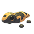 Gila Monster