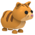 Ginger Cat