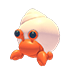 Hermit Crab