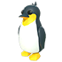 King Penguin
