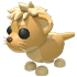Lion Cub