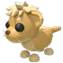 Lion Cub