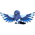 Magpie