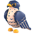 Peregrine Falcon