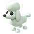 Poodle