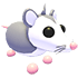 Possum