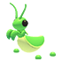 Praying Mantis