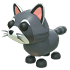 Raccoon