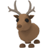 Reindeer