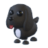 Royal Palace Spaniel