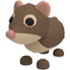 Shrew