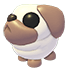 Snowball Pug