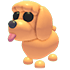 Toy Poodle
