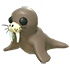 Walrus