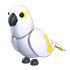 White Amazon