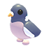 Wood Pigeon