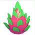 Dragonfruit Feet