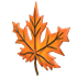 Eco Orange Maple Headpiece