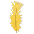 Feather