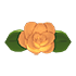 Flower Lapel