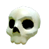 Halloween White Skull Hat