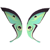 Jade Moth Wings