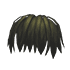 Long Bangs