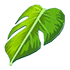 Monstera Leaf Cape