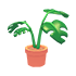 Monstera Plant Pot