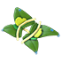 Rain Leaf Wings