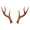 Reindeer Antlers