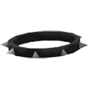 Spike Collar